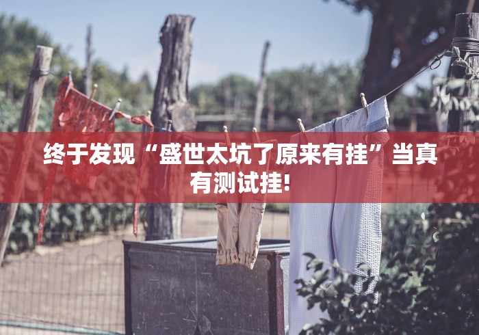 终于发现“盛世太坑了原来有挂”当真有测试挂!