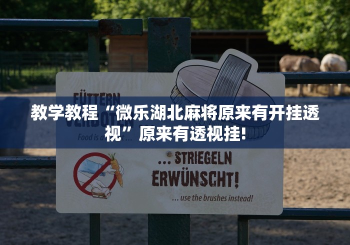 教学教程“微乐湖北麻将原来有开挂透视”原来有透视挂!