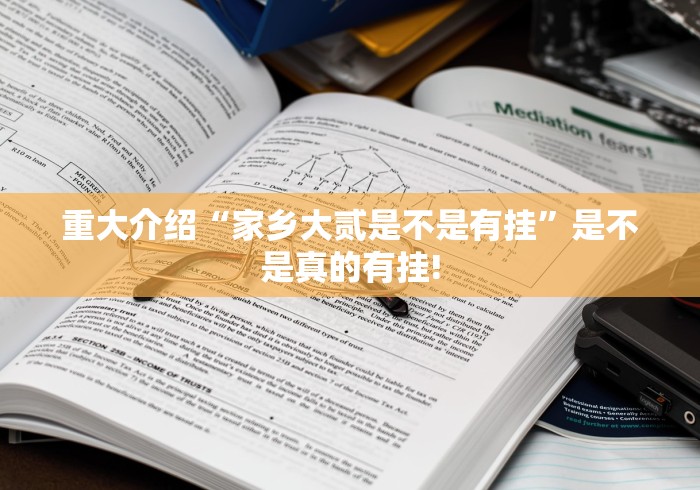 重大介绍“家乡大贰是不是有挂”是不是真的有挂!