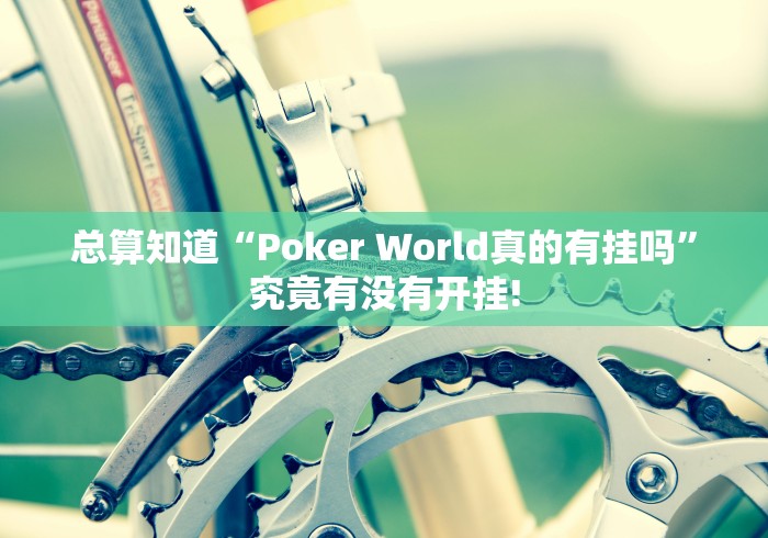 总算知道“Poker World真的有挂吗”究竟有没有开挂!