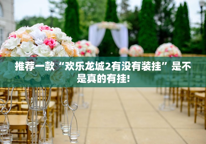 推荐一款“欢乐龙城2有没有装挂”是不是真的有挂!