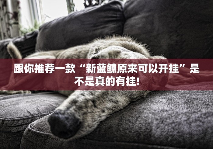 跟你推荐一款“新蓝鲸原来可以开挂”是不是真的有挂!