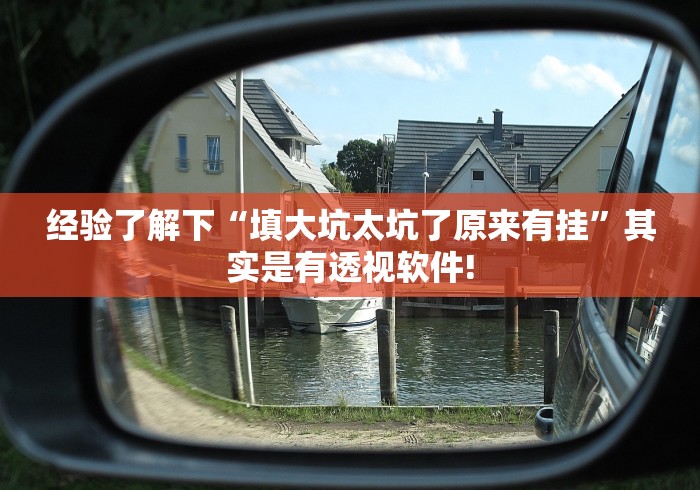 经验了解下“填大坑太坑了原来有挂”其实是有透视软件!