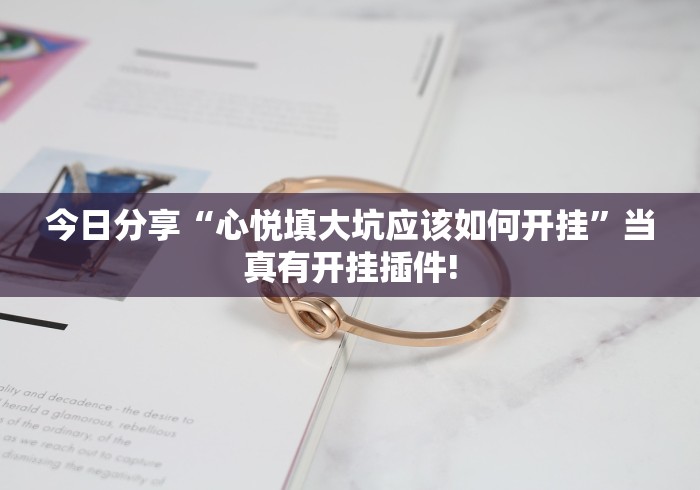 今日分享“心悦填大坑应该如何开挂”当真有开挂插件!