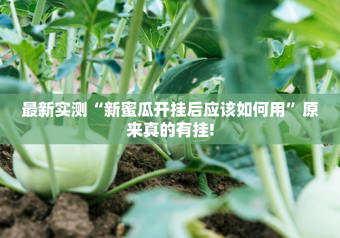 最新实测“新蜜瓜开挂后应该如何用”原来真的有挂!