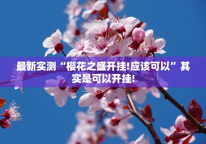 最新实测“樱花之盛开挂!应该可以”其实是可以开挂!