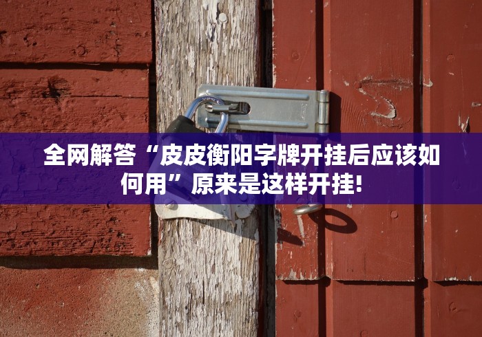 全网解答“皮皮衡阳字牌开挂后应该如何用”原来是这样开挂!