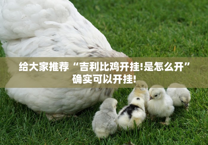 给大家推荐“吉利比鸡开挂!是怎么开”确实可以开挂! 给大家推荐“吉利比鸡开挂!是怎么开”确实可以开挂!