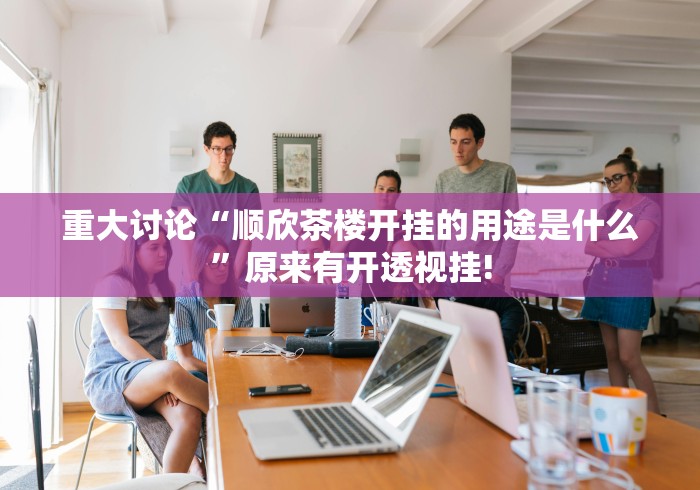 重大讨论“顺欣茶楼开挂的用途是什么”原来有开透视挂!