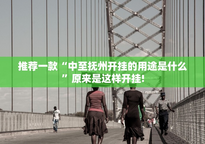 推荐一款“中至抚州开挂的用途是什么”原来是这样开挂! 推荐一款“中至抚州开挂的用途是什么”原来是这样开挂!