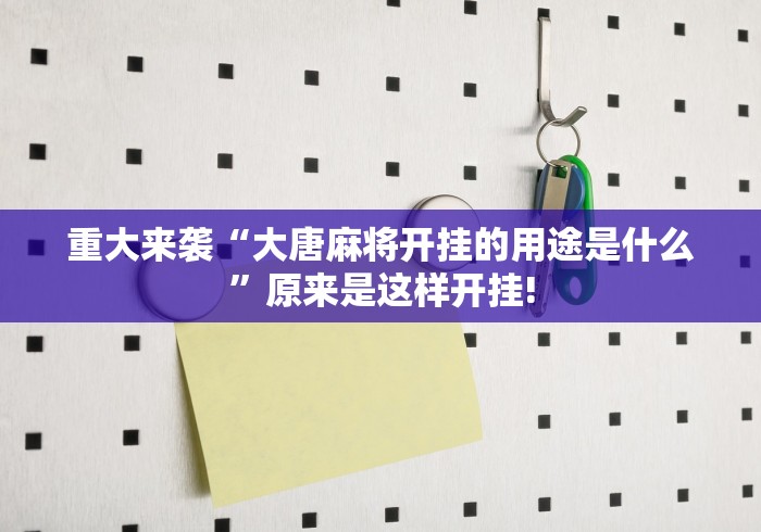 重大来袭“大唐麻将开挂的用途是什么”原来是这样开挂!