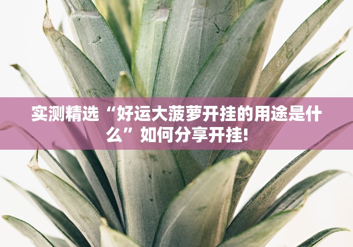 实测精选“好运大菠萝开挂的用途是什么”如何分享开挂!