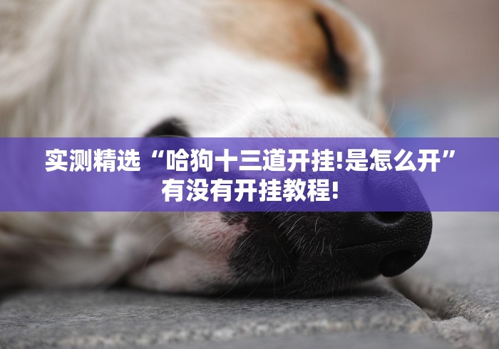 实测精选“哈狗十三道开挂!是怎么开”有没有开挂教程! 实测精选“哈狗十三道开挂!是怎么开”有没有开挂教程!