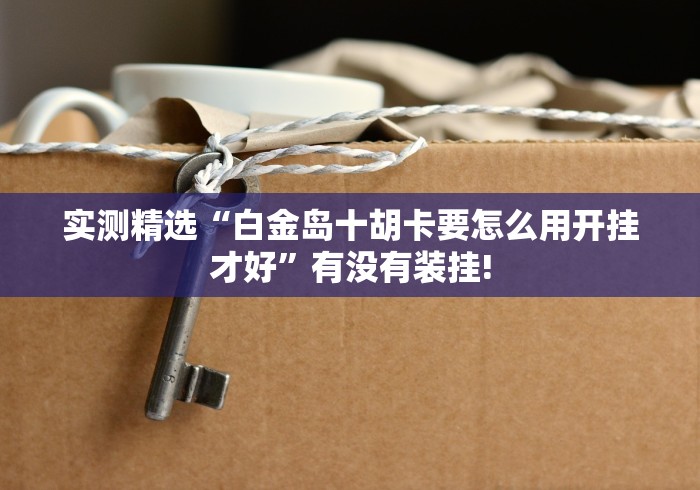 实测精选“白金岛十胡卡要怎么用开挂才好”有没有装挂!