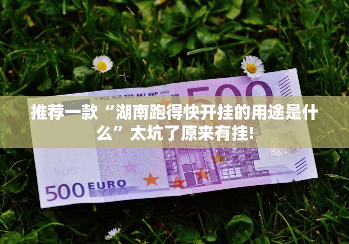 推荐一款“湖南跑得快开挂的用途是什么”太坑了原来有挂!