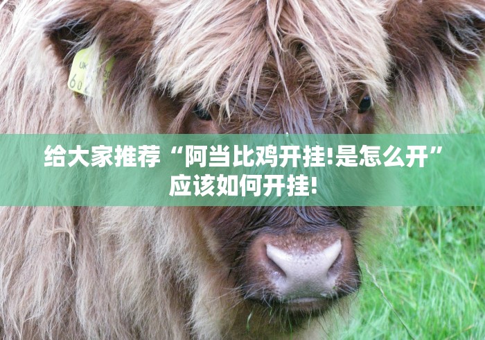 给大家推荐“阿当比鸡开挂!是怎么开”应该如何开挂! 给大家推荐“阿当比鸡开挂!是怎么开”应该如何开挂!