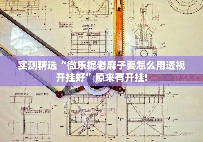 实测精选“微乐捉老麻子要怎么用透视开挂好”原来有开挂!