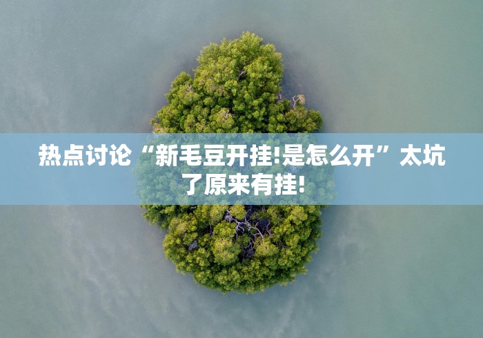 热点讨论“新毛豆开挂!是怎么开”太坑了原来有挂!
