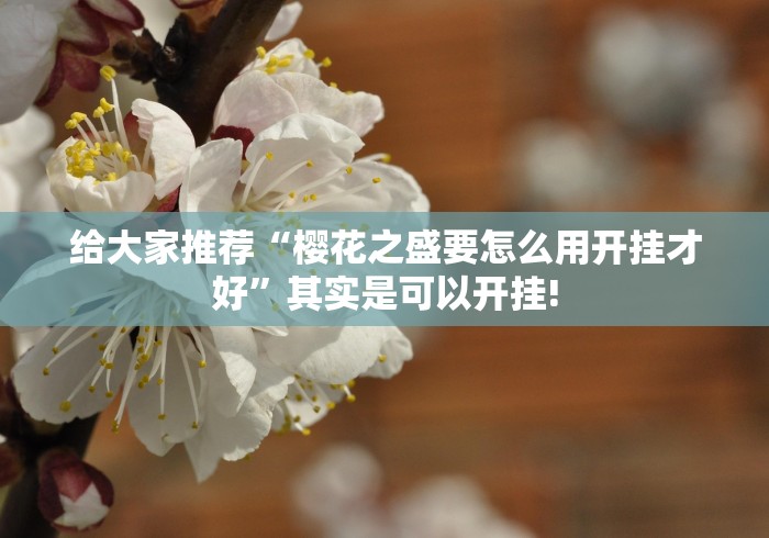 轻松掌握“胡一把呼包鄂麻将有没有开挂合适用”原来有开透视挂!