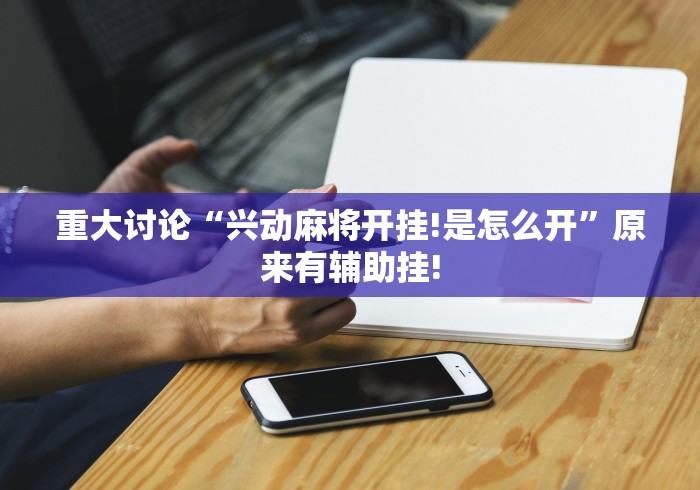 重大讨论“兴动麻将开挂!是怎么开”原来有辅助挂!