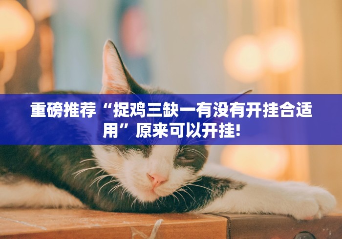 重磅推荐“捉鸡三缺一有没有开挂合适用”原来可以开挂!