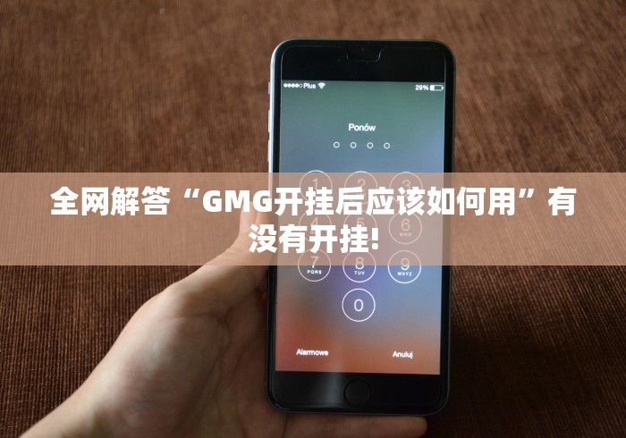 全网解答“GMG开挂后应该如何用”有没有开挂!