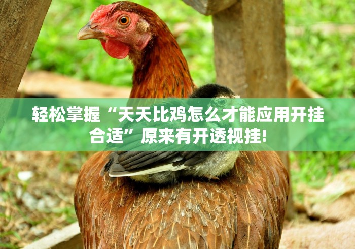 轻松掌握“天天比鸡怎么才能应用开挂合适”原来有开透视挂! 轻松掌握“天天比鸡怎么才能应用开挂合适”原来有开透视挂!