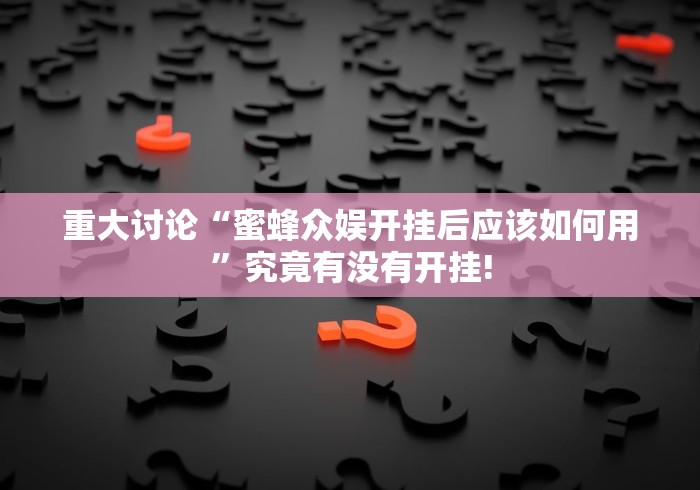 重大讨论“蜜蜂众娱开挂后应该如何用”究竟有没有开挂!