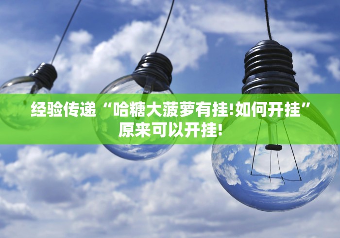 经验传递“哈糖大菠萝有挂!如何开挂”原来可以开挂! 经验传递“哈糖大菠萝有挂!如何开挂”原来可以开挂!