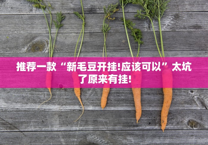 推荐一款“新毛豆开挂!应该可以”太坑了原来有挂!