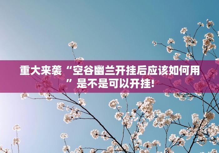 重大来袭“空谷幽兰开挂后应该如何用”是不是可以开挂! 重大来袭“空谷幽兰开挂后应该如何用”是不是可以开挂!