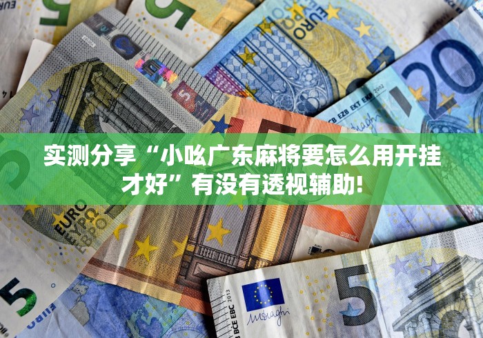 实测分享“小吆广东麻将要怎么用开挂才好”有没有透视辅助!