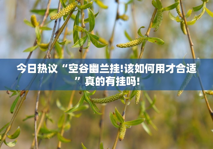 今日热议“空谷幽兰挂!该如何用才合适”真的有挂吗! 今日热议“空谷幽兰挂!该如何用才合适”真的有挂吗!