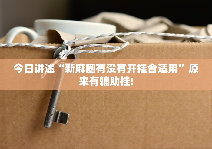 今日讲述“新麻圈有没有开挂合适用”原来有辅助挂!