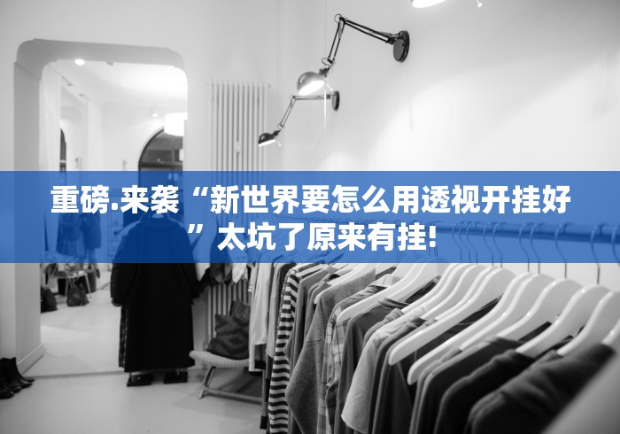 重磅.来袭“新世界要怎么用透视开挂好”太坑了原来有挂!