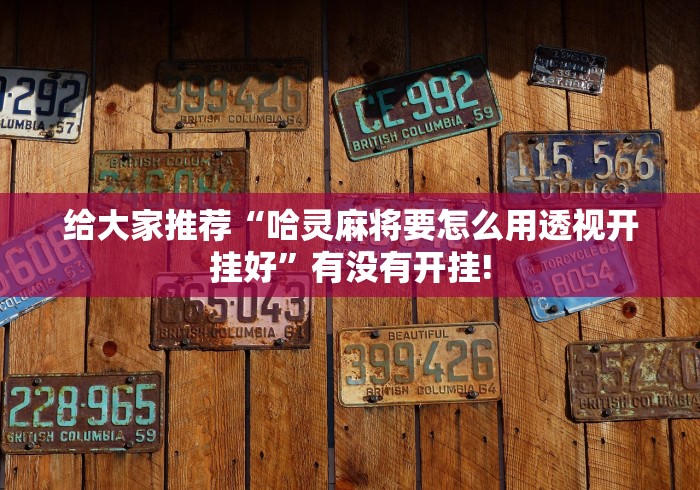 给大家推荐“哈灵麻将要怎么用透视开挂好”有没有开挂!
